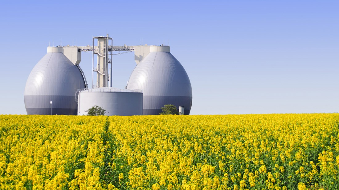 Produzione di biogas: letame dalla triplice utilità